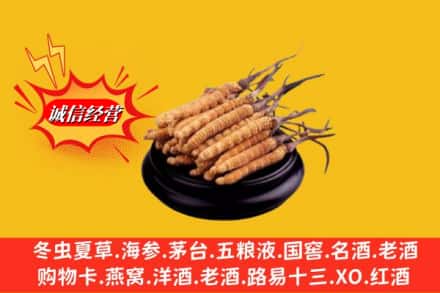 石渠县名酒回收冬虫夏草.jpg